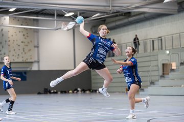 Bild 236 - wBJ HTS/BW96 Handball - Niendorfer TSV : Ergebnis: 27:27